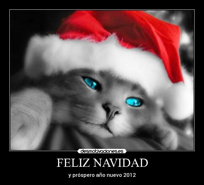 carteles navidad navidad desmotivaciones