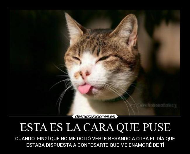 ESTA ES LA CARA QUE PUSE -