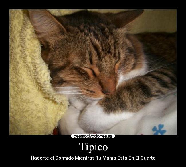 Tipico - 