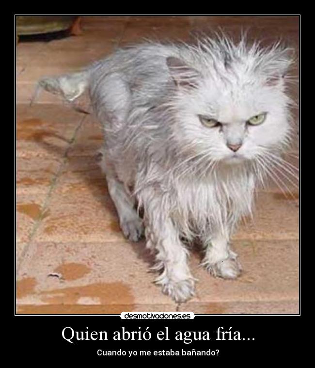 Quien abrió el agua fría... - Cuando yo me estaba bañando?