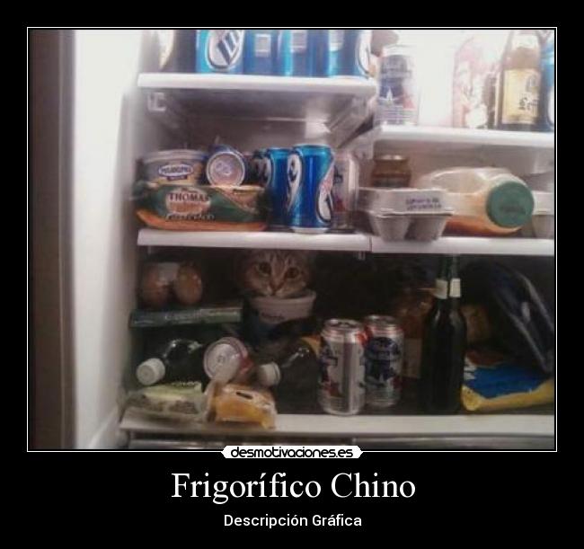 Frigorífico Chino - 