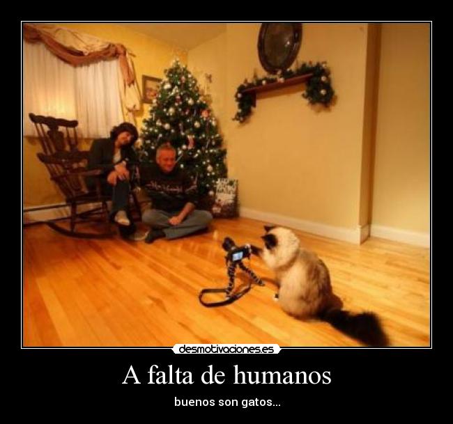 A falta de humanos -