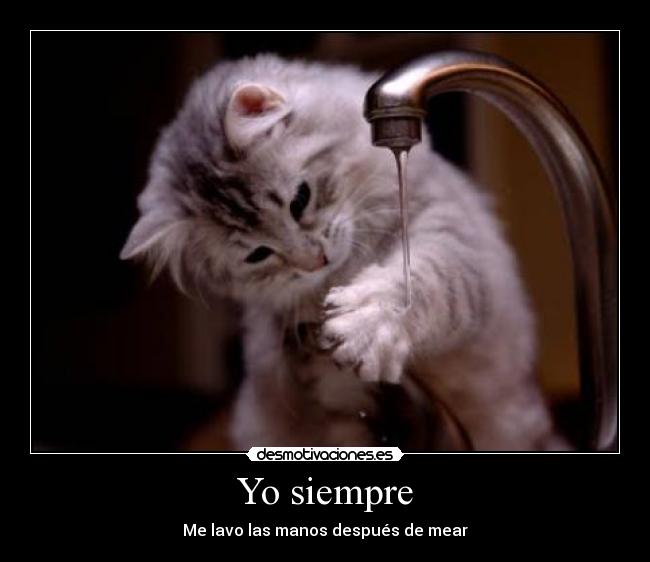 carteles gato limpio desmotivaciones