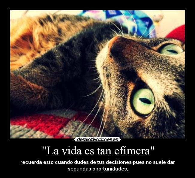 carteles vida miro busco encuentro destruyo desmotivaciones