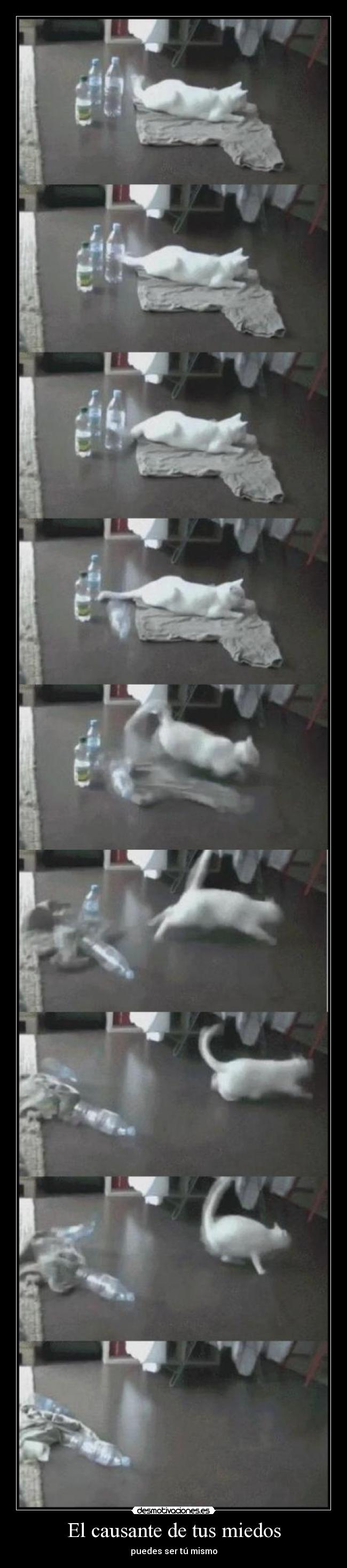 El causante de tus miedos - puedes ser tú mismo