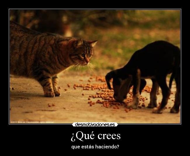 ¿Qué crees - 