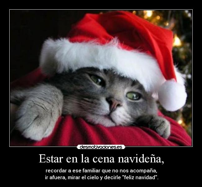 Estar en la cena navideña, - recordar a ese familiar que no nos acompaña,
ir afuera, mirar el cielo y decirle feliz navidad.