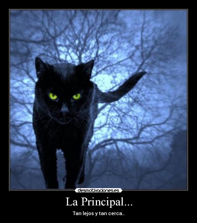 La Principal... - Tan lejos y tan cerca..
