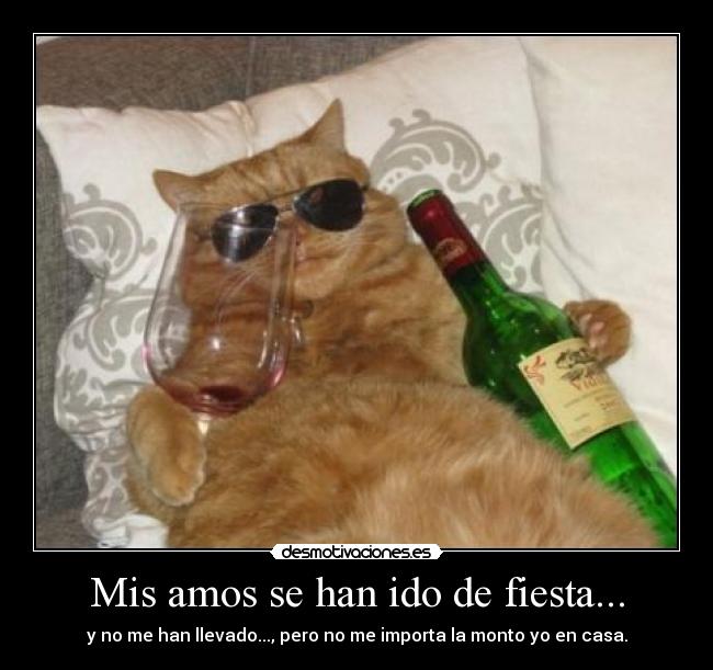 Mis amos se han ido de fiesta... - y no me han llevado..., pero no me importa la monto yo en casa.