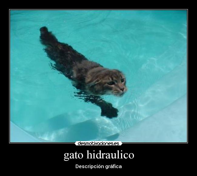 gato hidraulico - Descripción gráfica