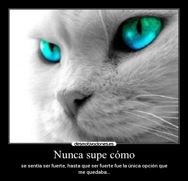 Nunca supe cómo - 
