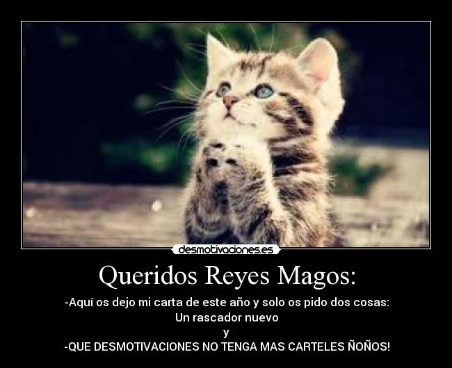 Queridos Reyes Magos: - -Aquí os dejo mi carta de este año y solo os pido dos cosas:
Un rascador nuevo
y
-QUE DESMOTIVACIONES NO TENGA MAS CARTELES ÑOÑOS!