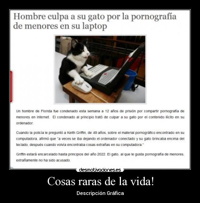 Cosas raras de la vida! - Descripción Gráfica