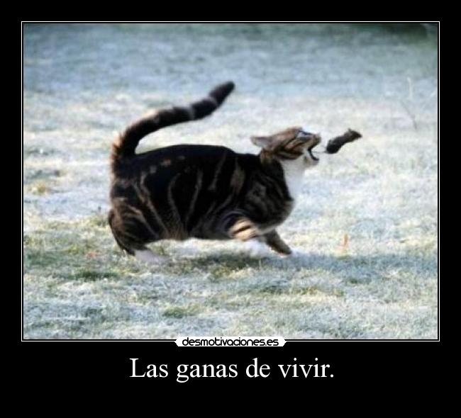Las ganas de vivir. -
