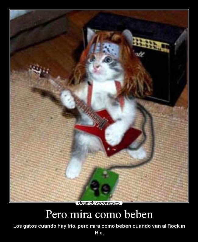 carteles miuaooh yeah desmotivaciones