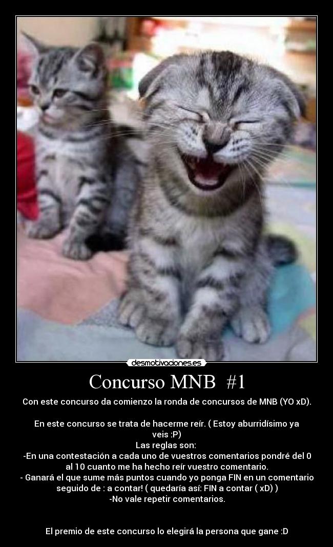 carteles concurso mnb desmotivaciones