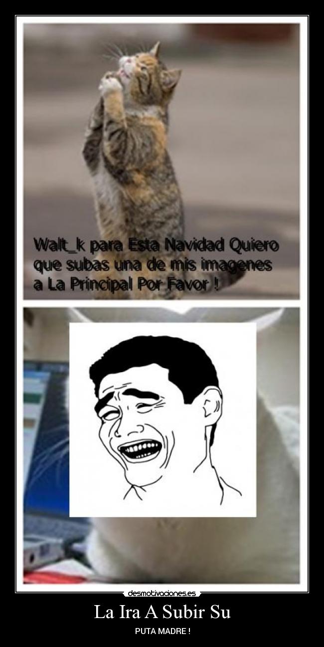 La Ira A Subir Su - PUTA MADRE !