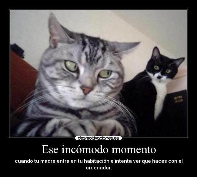 Ese incómodo momento - cuando tu madre entra en tu habitación e intenta ver que haces con el ordenador.