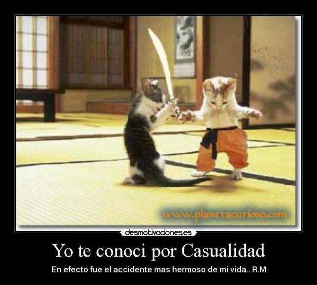 Yo te conoci por Casualidad - 