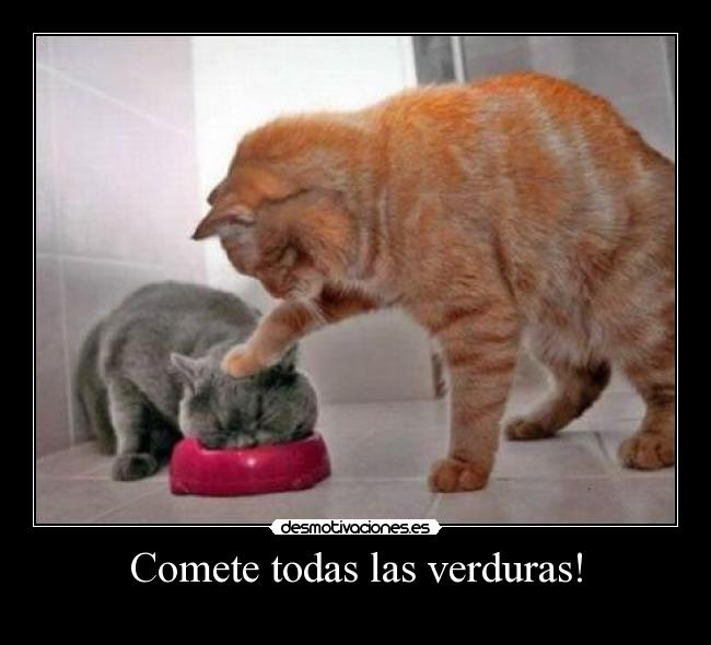 Comete todas las verduras! -