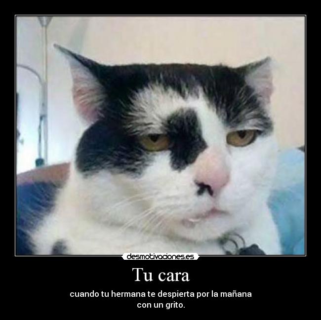 Tu cara - cuando tu hermana te despierta por la mañana
con un grito.