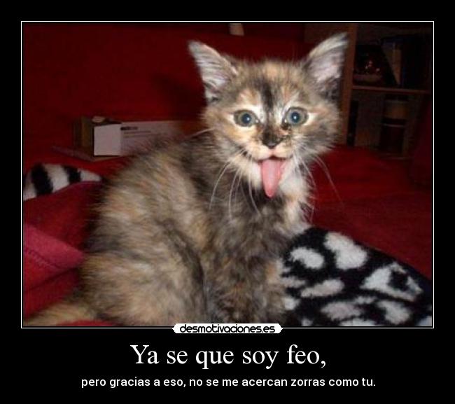 Ya se que soy feo, -