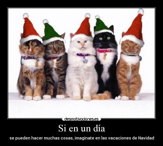 Si en un día - se pueden hacer muchas cosas, imaginate en las vacaciones de Navidad