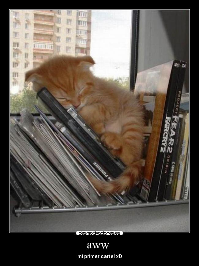 aww - mi primer cartel xD