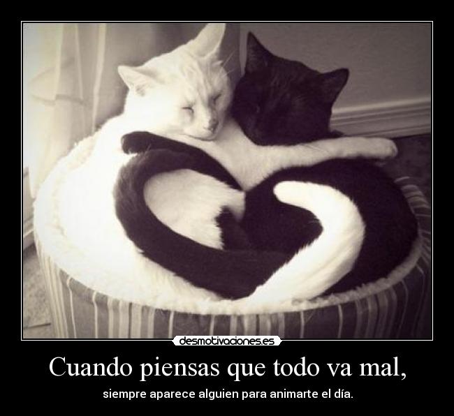 Cuando piensas que todo va mal, - 