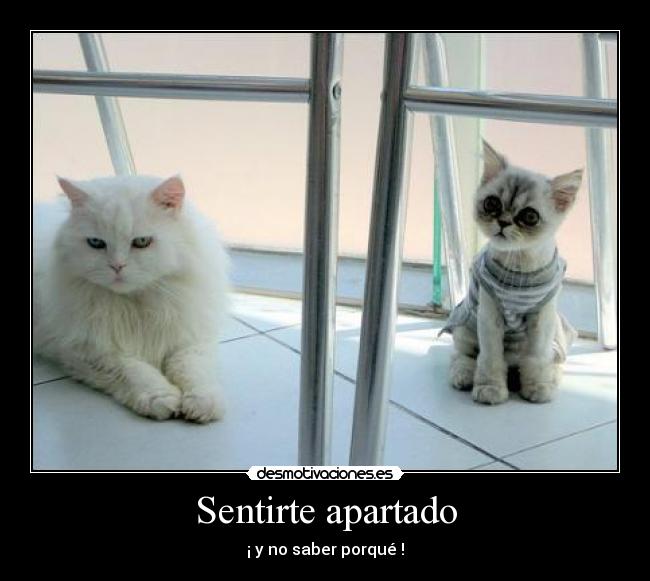 Sentirte apartado - ¡ y no saber porqué !