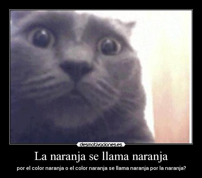 La naranja se llama naranja - por el color naranja o el color naranja se llama naranja por la naranja?