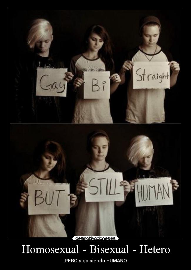 Homosexual - Bisexual - Hetero - 