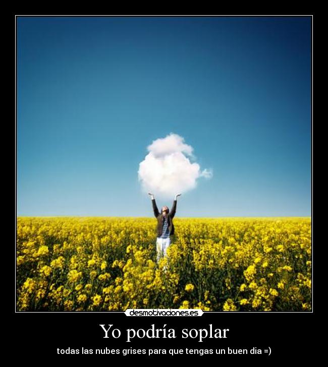 carteles calle desmotivaciones