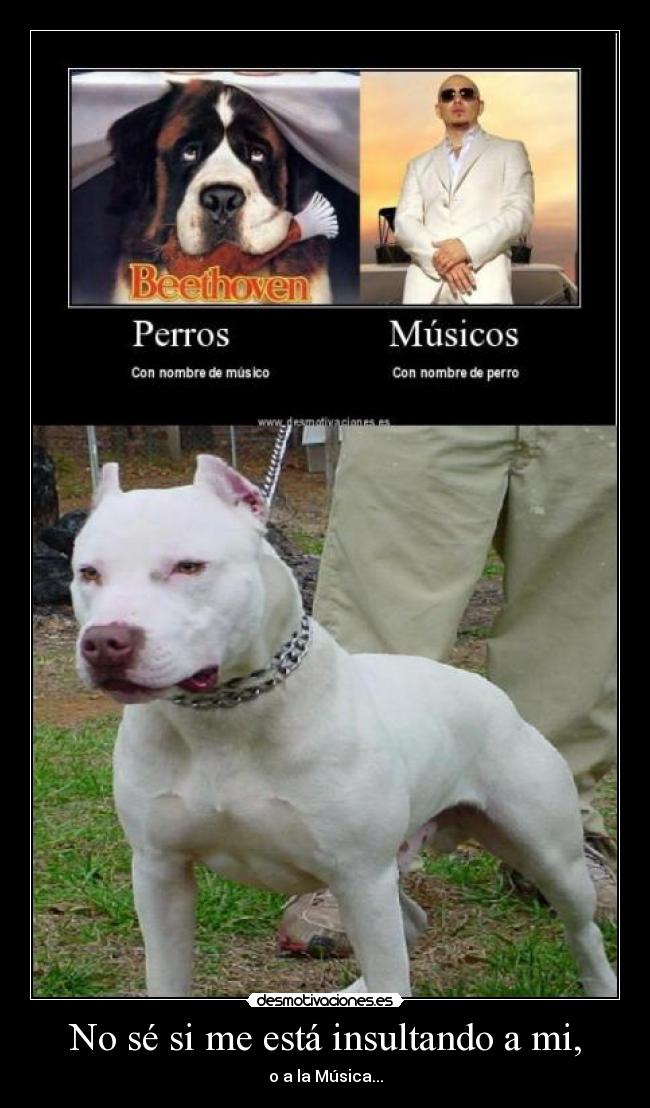 No sé si me está insultando a mi, - o a la Música...