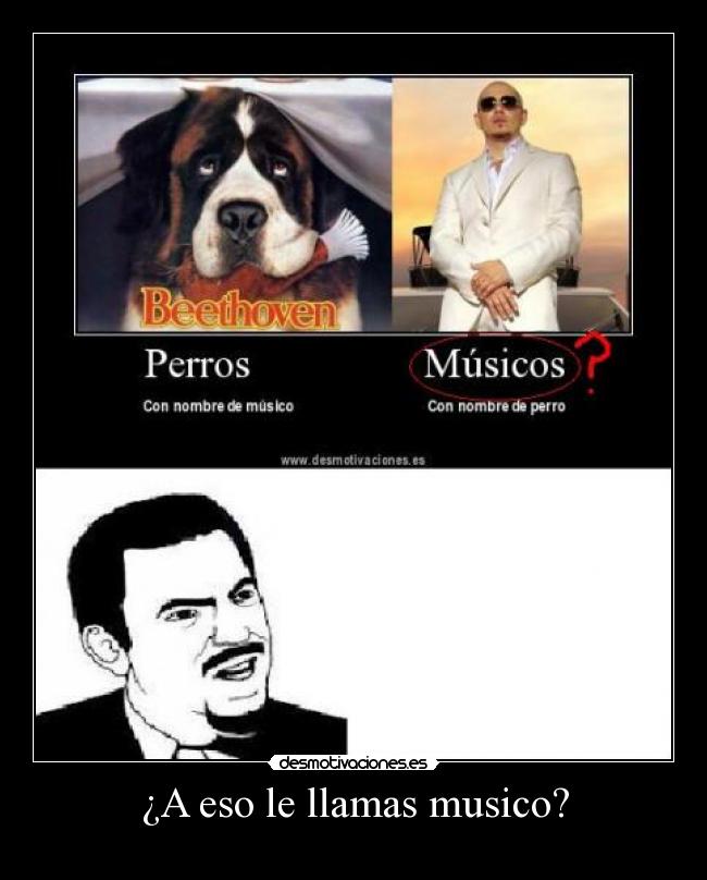 ¿A eso le llamas musico? - 