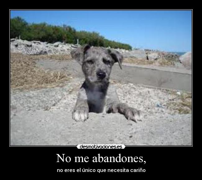 No me abandones, - no eres el único que necesita cariño