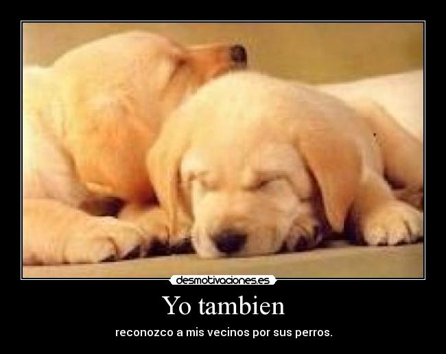 Yo tambien - reconozco a mis vecinos por sus perros.