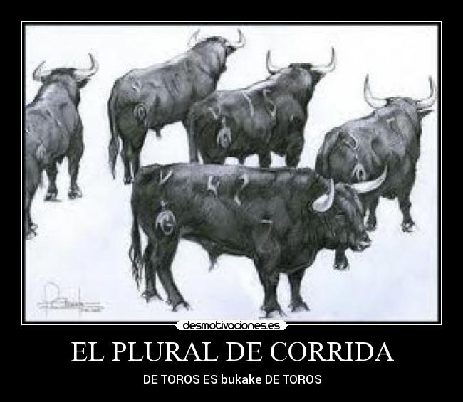 EL PLURAL DE CORRIDA - DE TOROS ES bukake DE TOROS