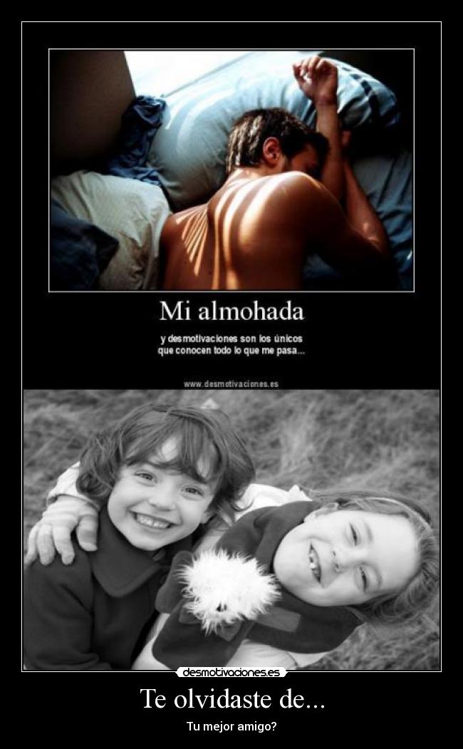 carteles mejor amigo desmotivaciones