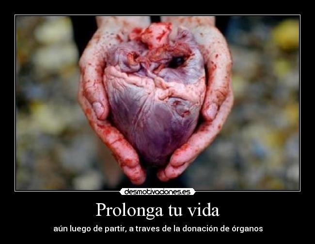 carteles vida donacon organos desmotivaciones
