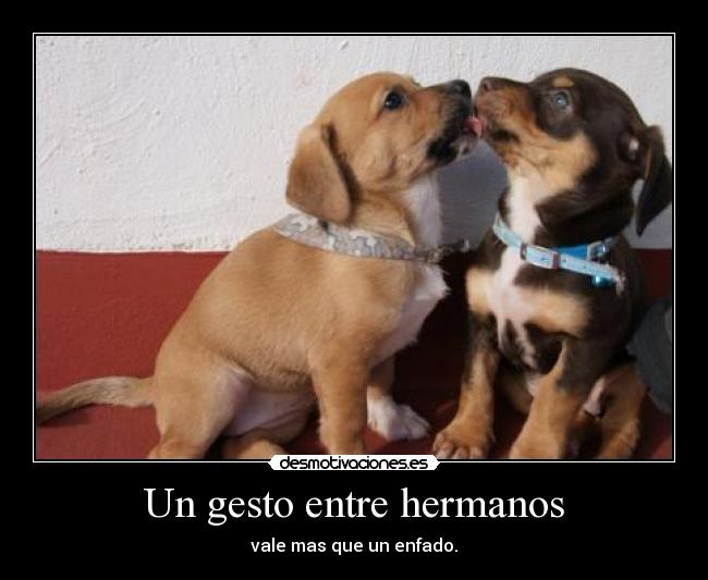 Un gesto entre hermanos - vale mas que un enfado.