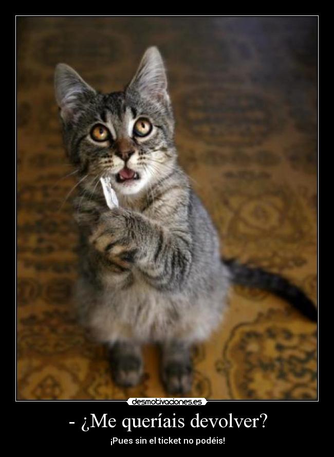 - ¿Me queríais devolver? - ¡Pues sin el ticket no podéis!