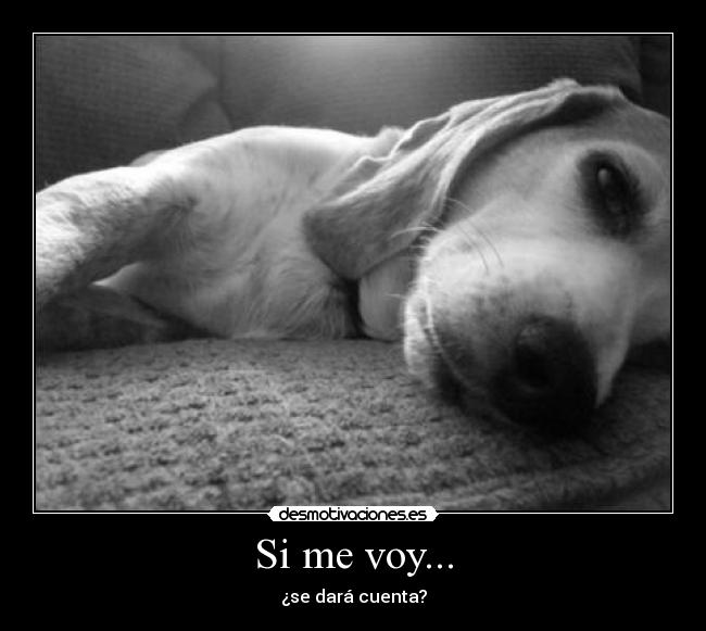 Si me voy... - 