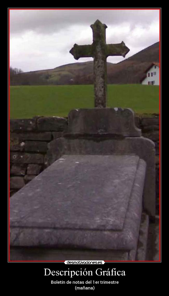 Descripción Gráfica -