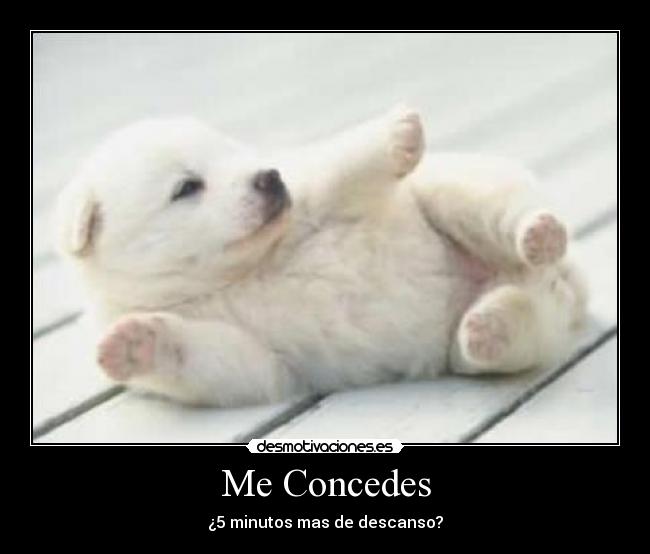 Me Concedes - ¿5 minutos mas de descanso?