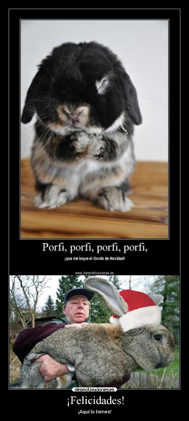 ¡Felicidades! - ¡Aquí lo tienes!