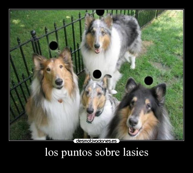 los puntos sobre lasies -
