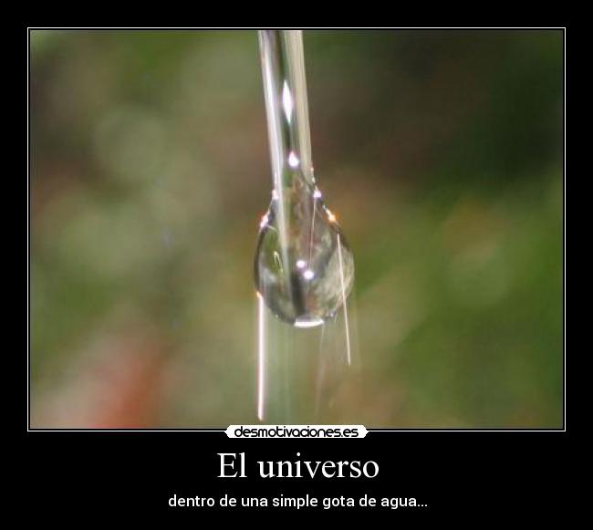 El universo -