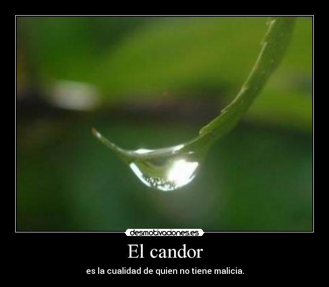 El candor - es la cualidad de quien no tiene malicia.