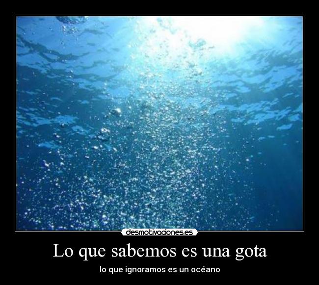 Lo que sabemos es una gota - lo que ignoramos es un océano